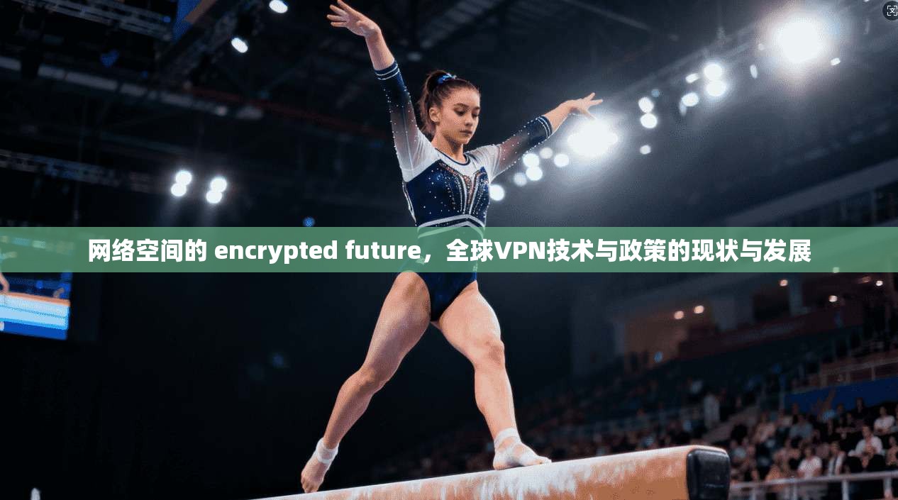 网络空间的 encrypted future，全球VPN技术与政策的现状与发展