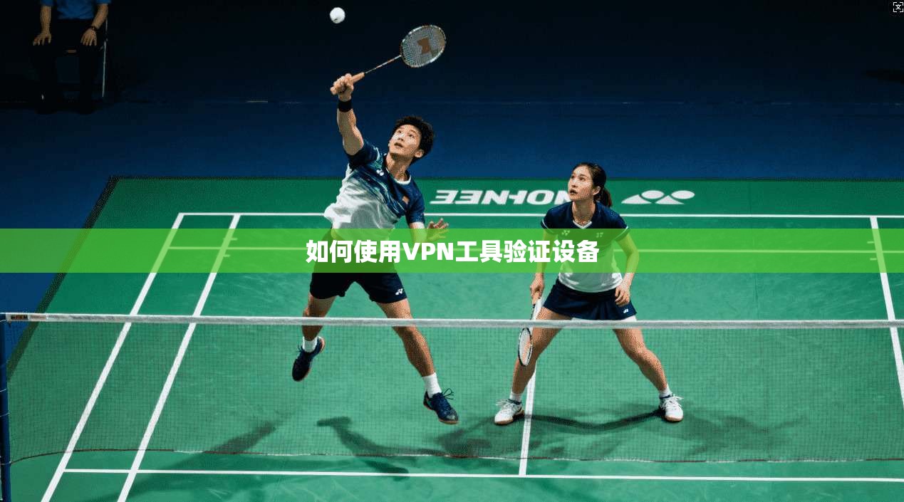 如何使用VPN工具验证设备