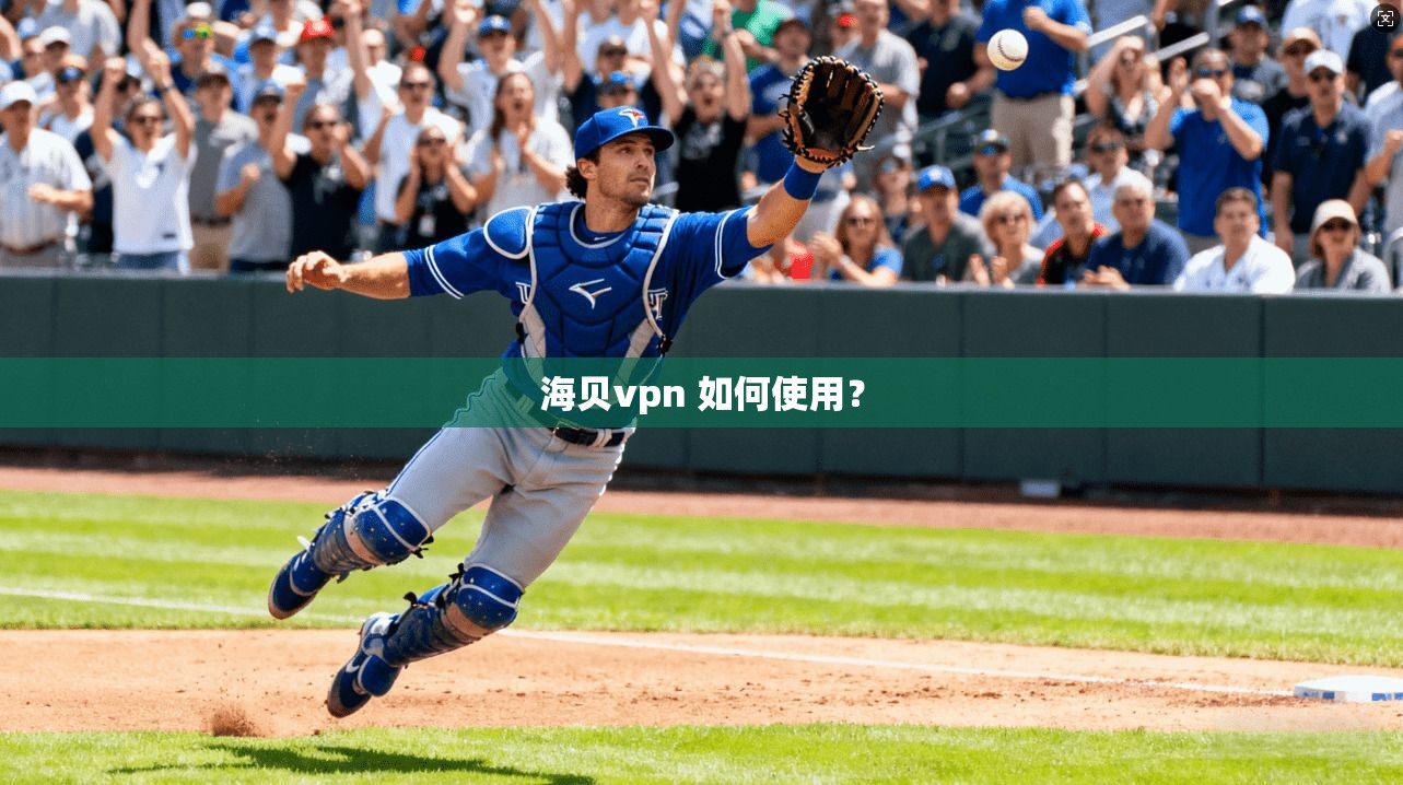 海贝vpn 如何使用？