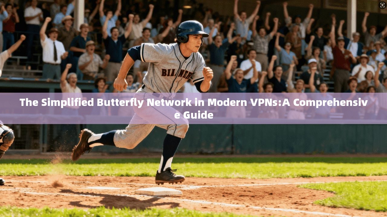 The Simplified Butterfly Network in Modern VPNs:A Comprehensive Guide