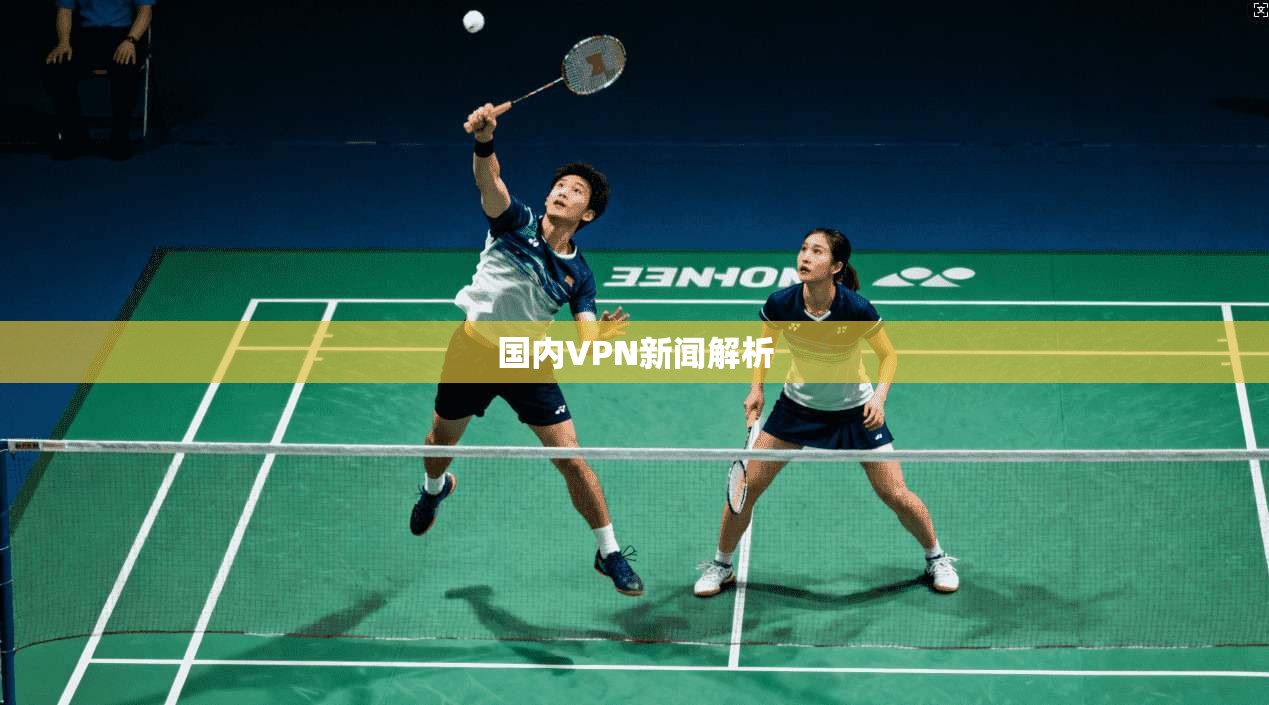 国内VPN新闻解析