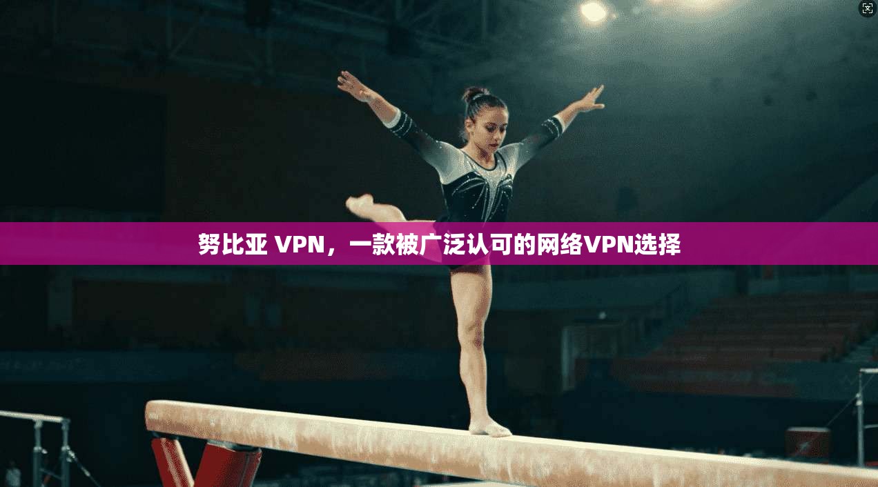 努比亚 VPN，一款被广泛认可的网络VPN选择