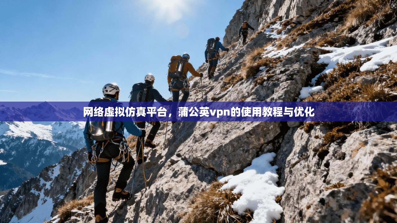 网络虚拟仿真平台，蒲公英vpn的使用教程与优化
