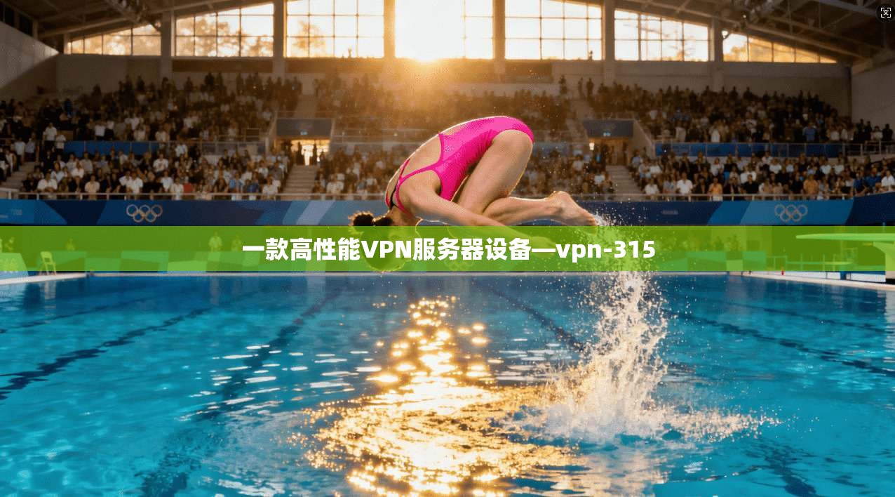 一款高性能VPN服务器设备—vpn-315