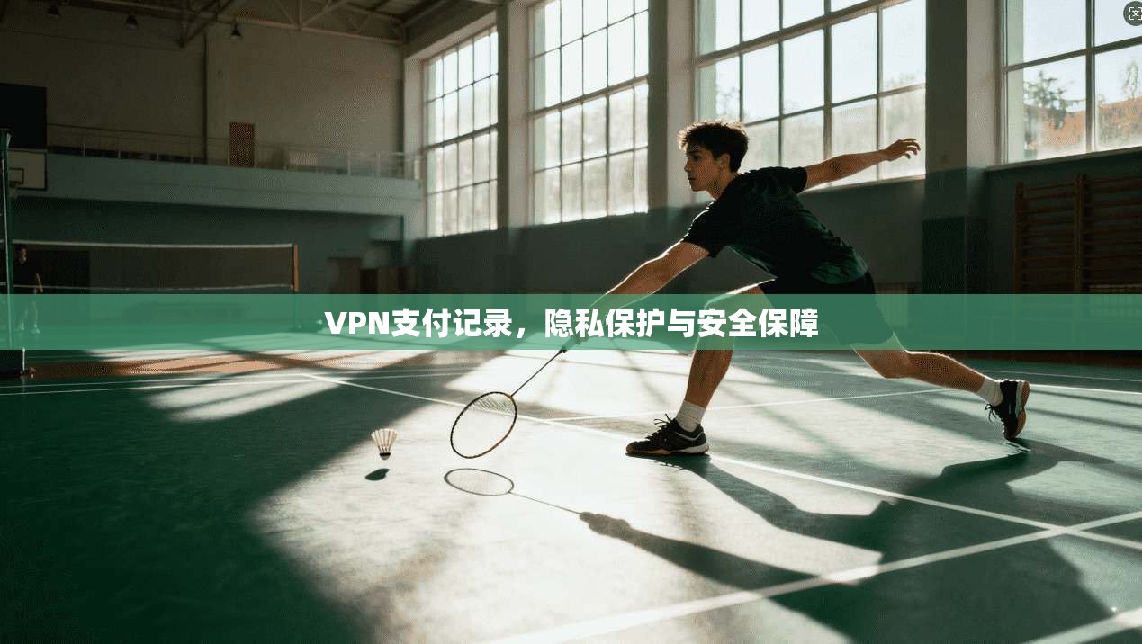 VPN支付记录,隐私保护与安全保障
