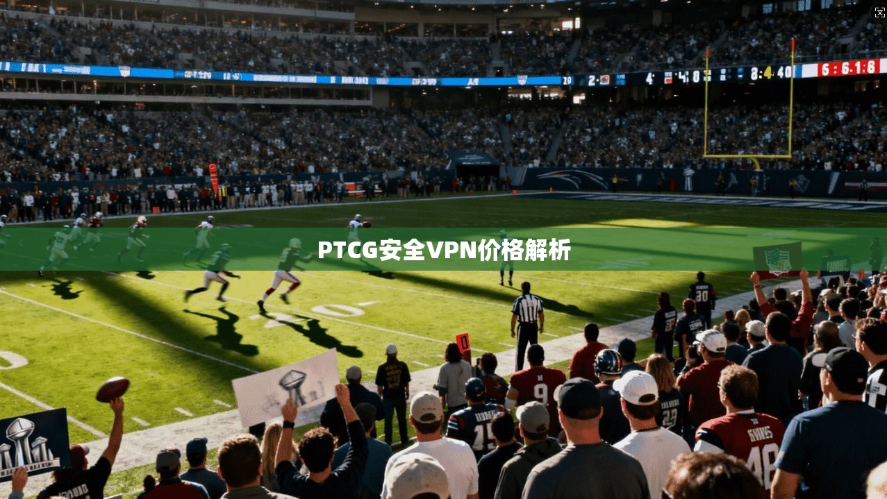 PTCG安全VPN价格解析