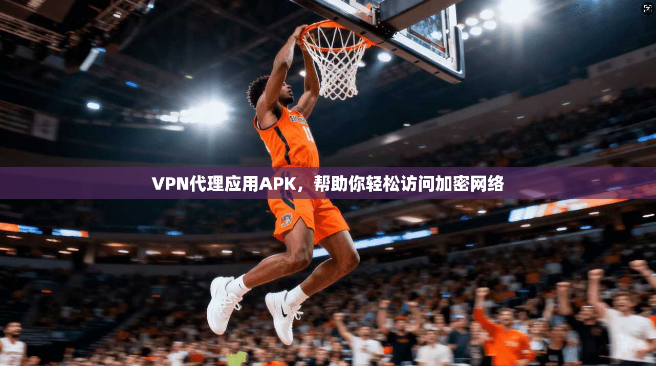 VPN代理应用APK,帮助你轻松访问加密网络