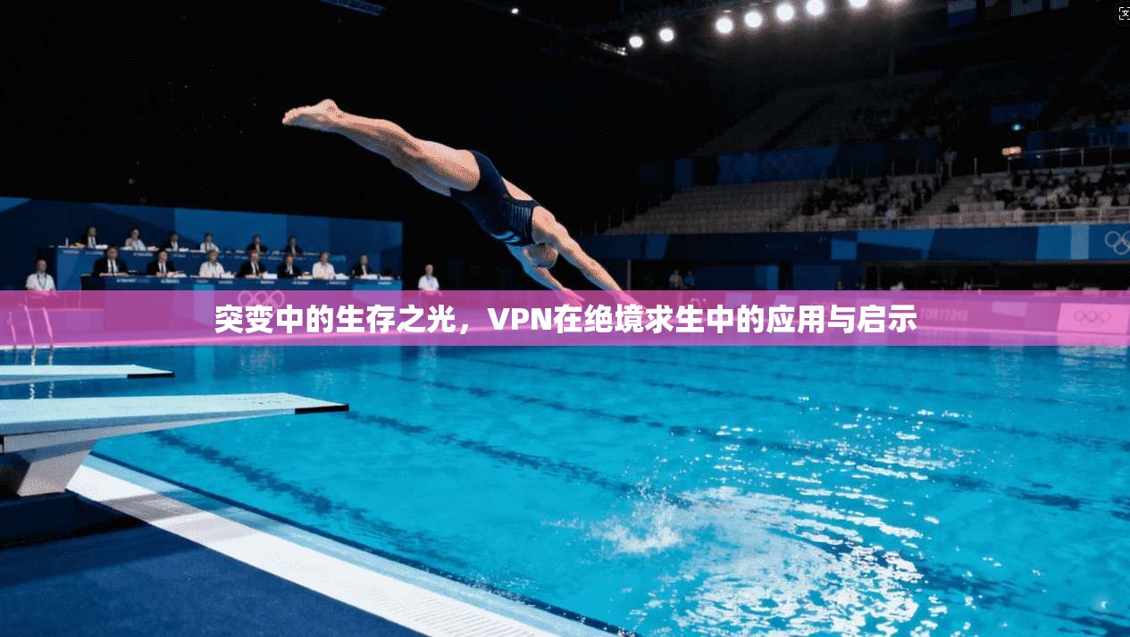 突变中的生存之光,VPN在绝境求生中的应用与启示