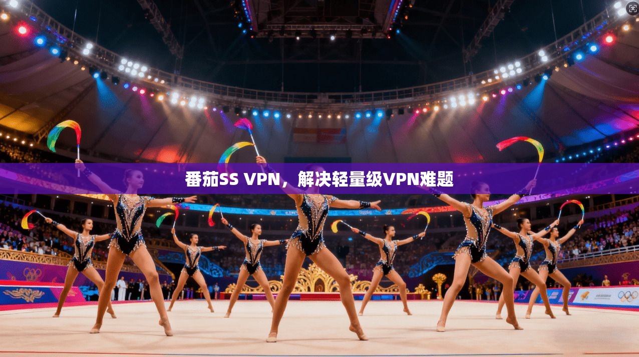 番茄SS VPN,解决轻量级VPN难题