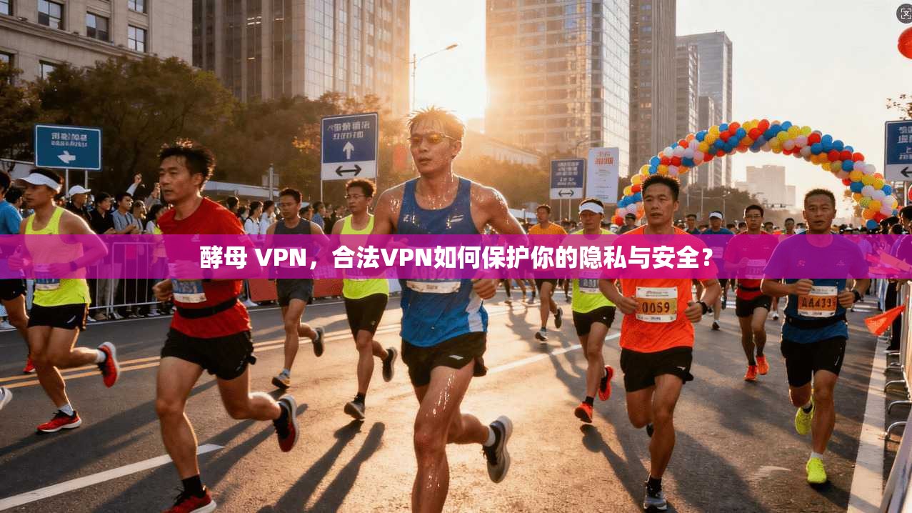 酵母 VPN,合法VPN如何保护你的隐私与安全?