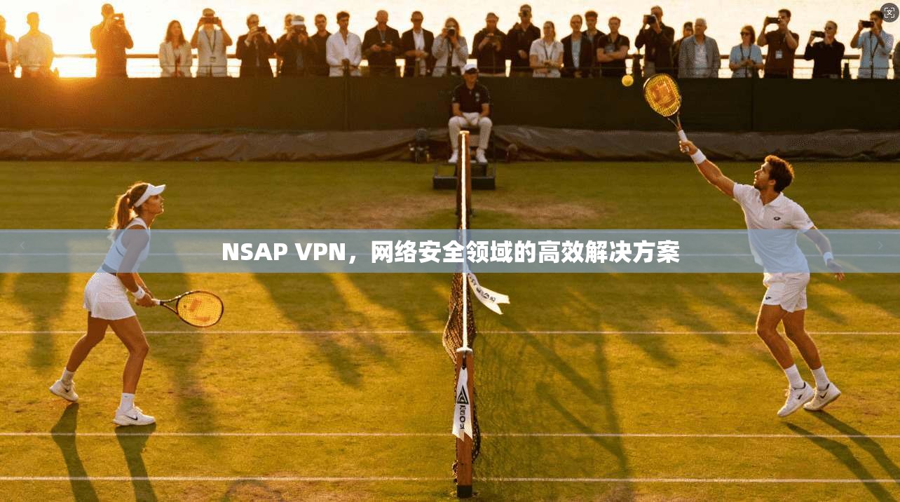 NSAP VPN，网络安全领域的高效解决方案