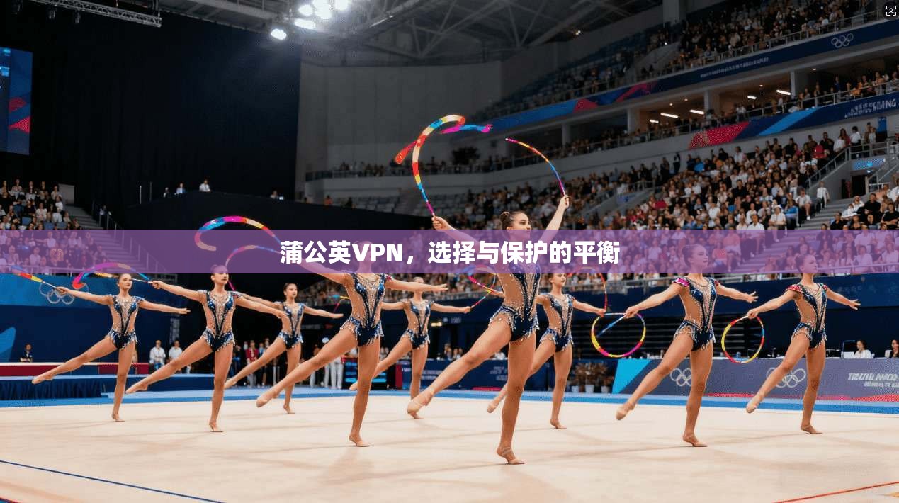 蒲公英VPN，选择与保护的平衡
