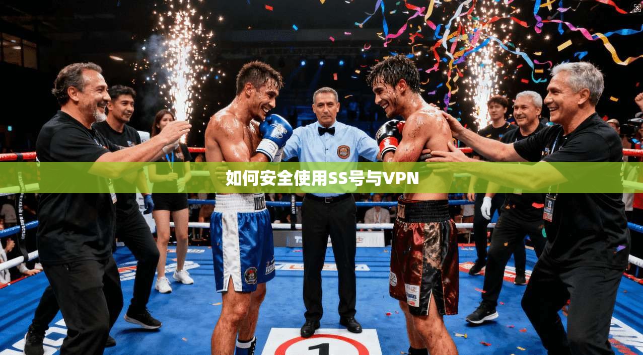 如何安全使用SS号与VPN