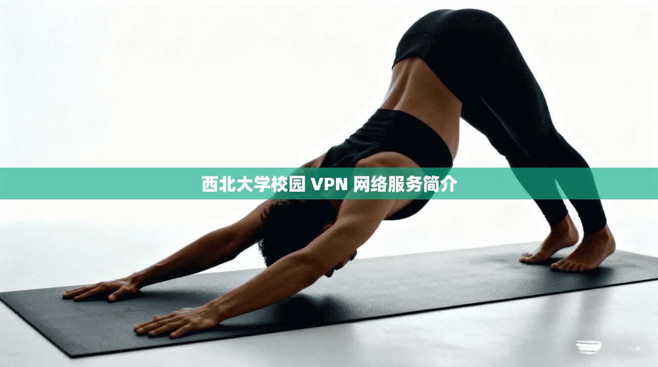 西北大学校园 VPN 网络服务简介