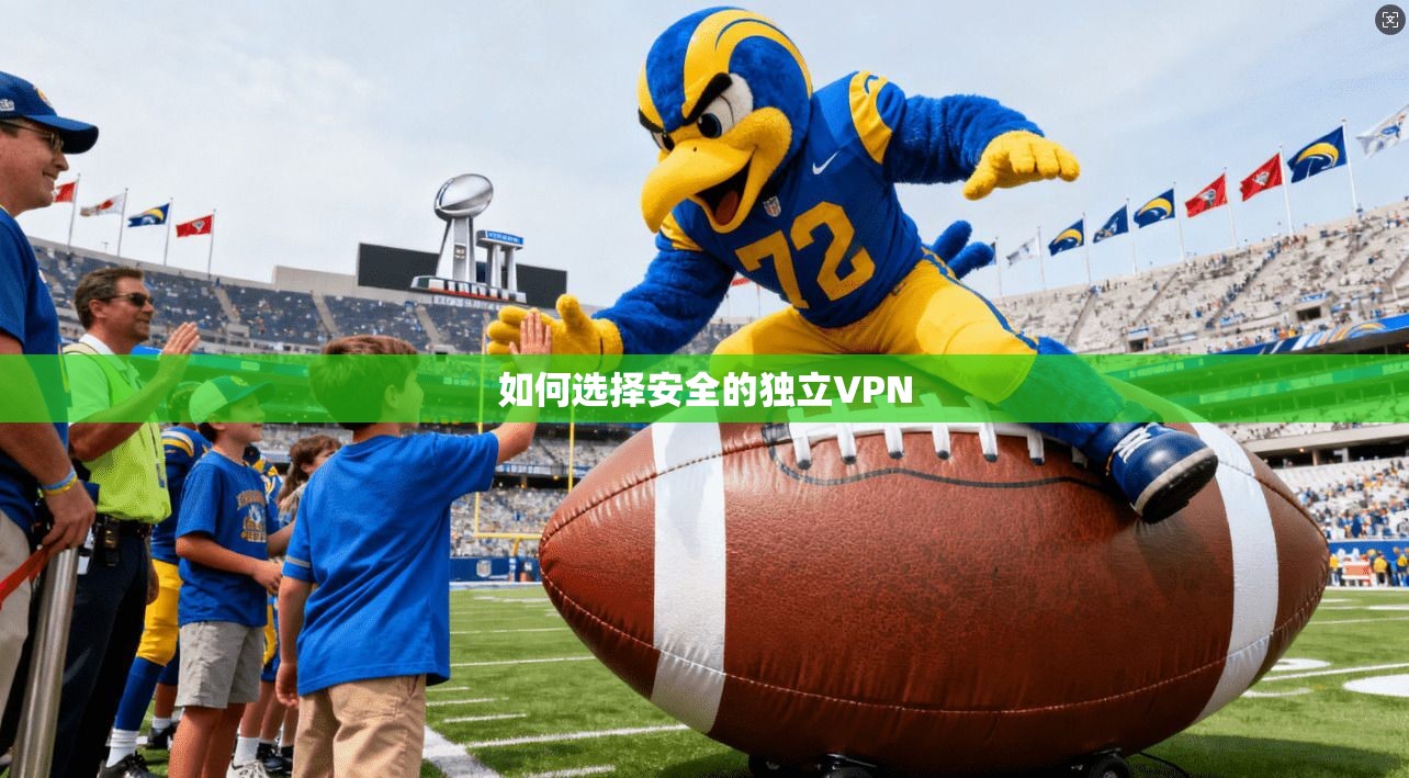 如何选择安全的独立VPN
