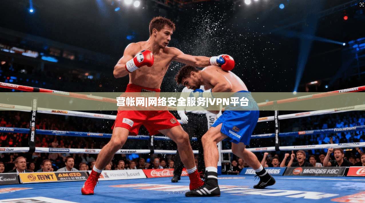营帐网|网络安全服务|VPN平台