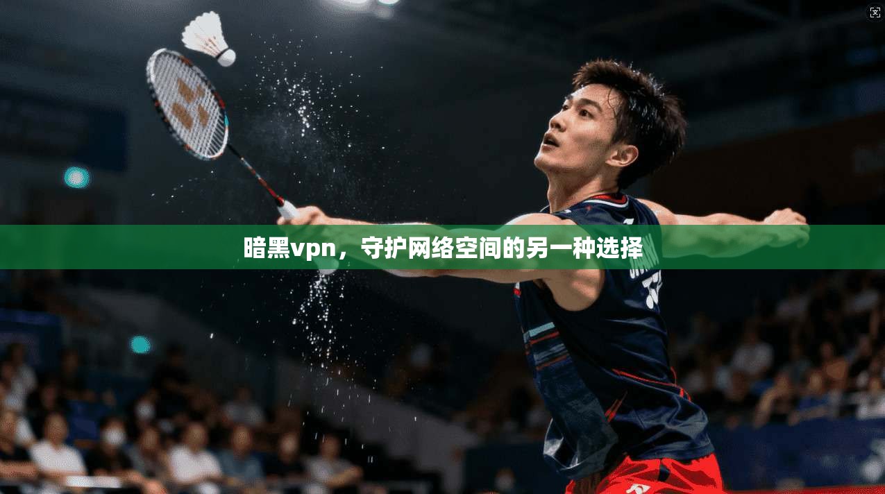 暗黑vpn，守护网络空间的另一种选择