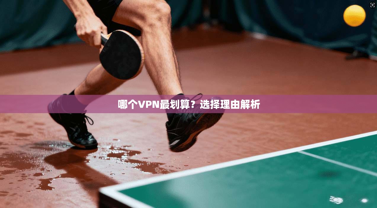 哪个VPN最划算？选择理由解析
