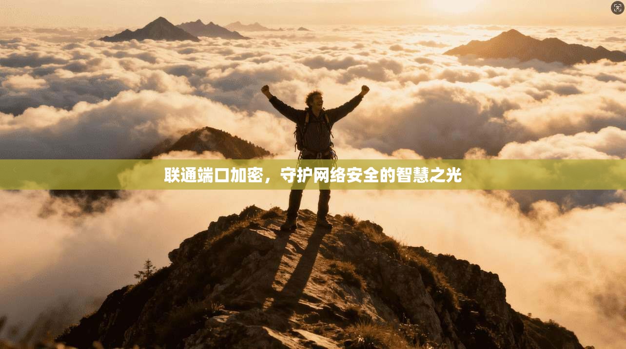联通端口加密，守护网络安全的智慧之光