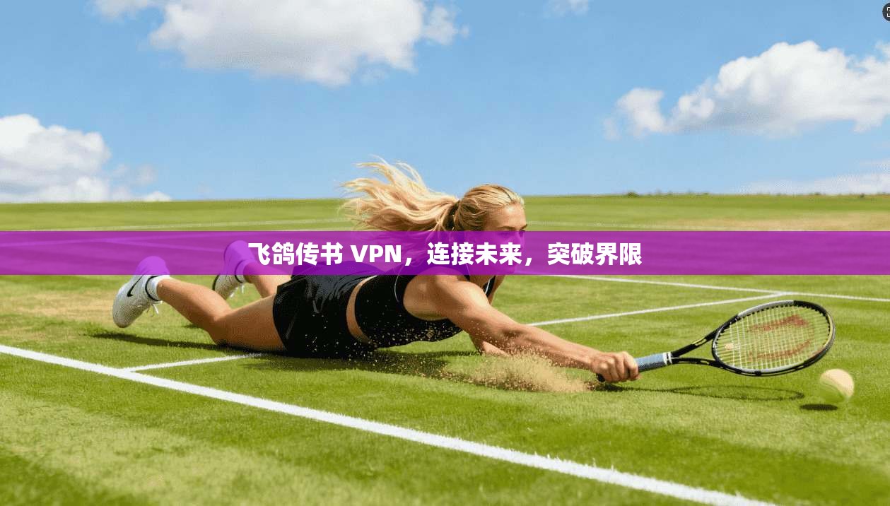 飞鸽传书 VPN，连接未来，突破界限