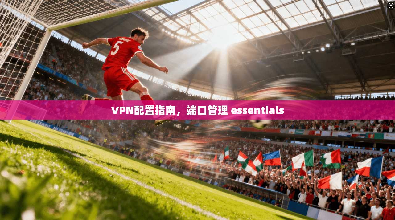 VPN配置指南,端口管理 essentials