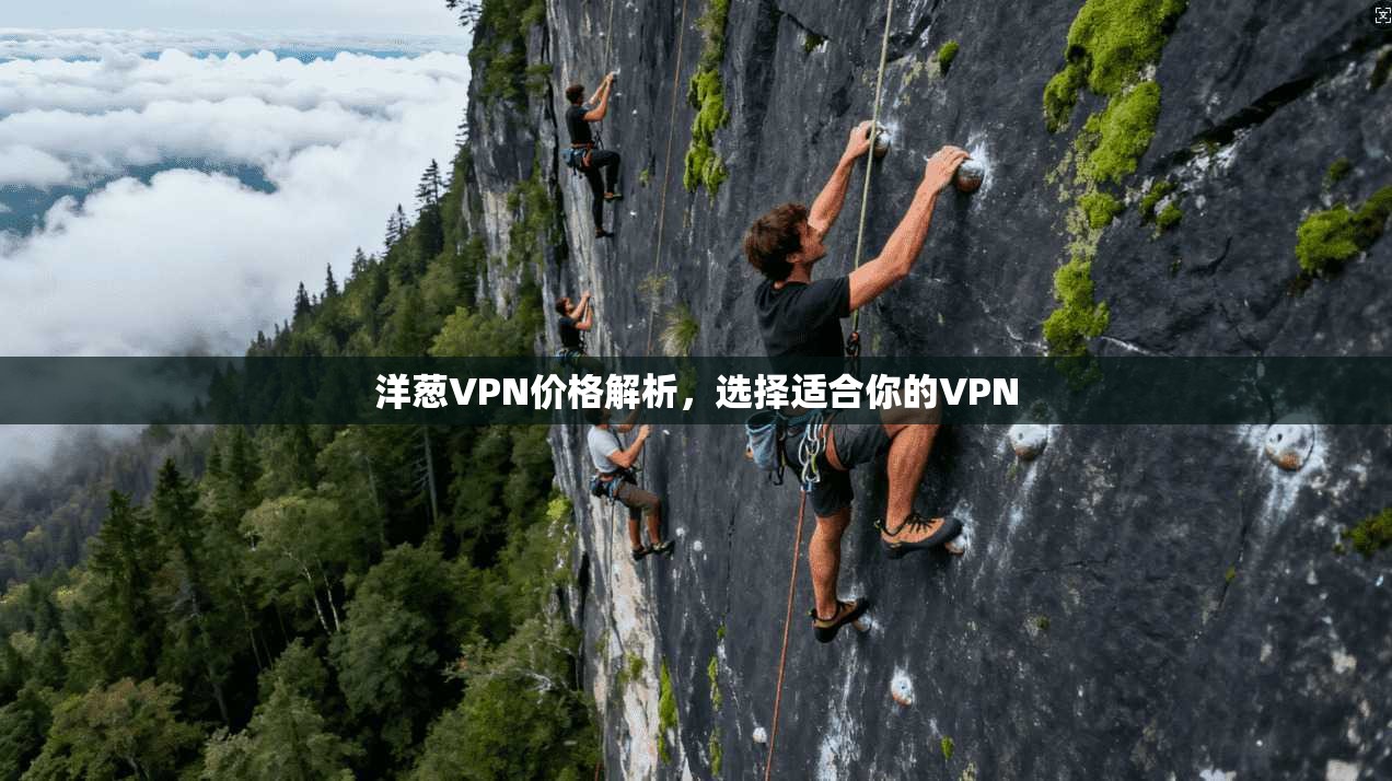 洋葱VPN价格解析，选择适合你的VPN