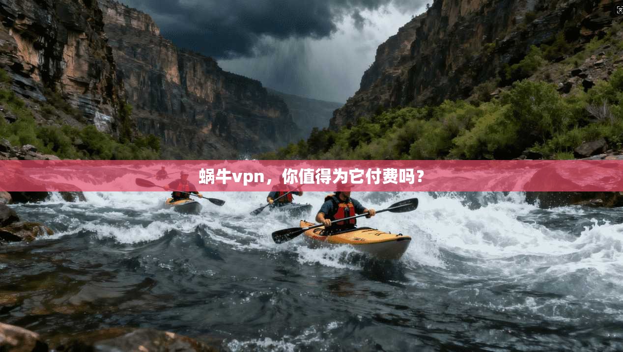 蜗牛vpn，你值得为它付费吗？