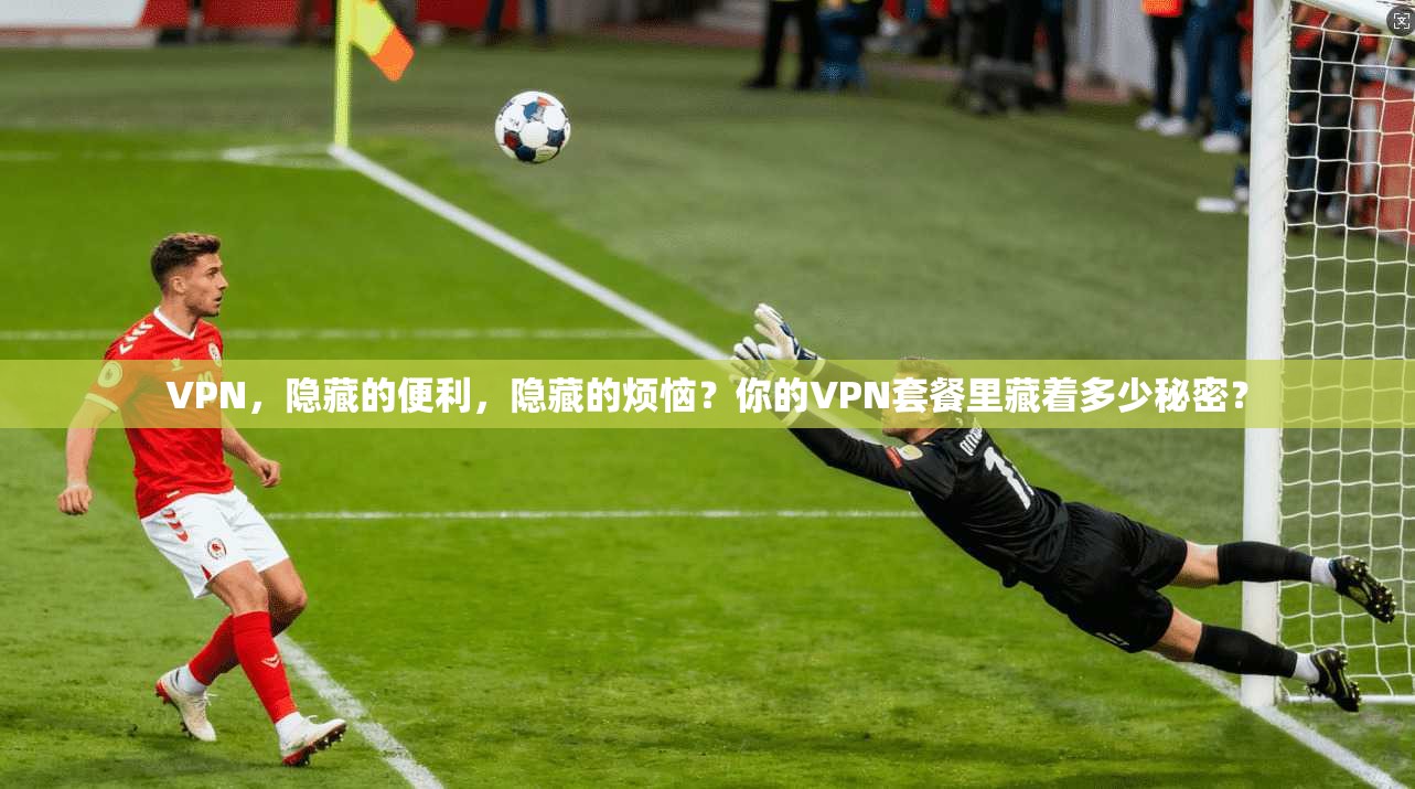 VPN，隐藏的便利，隐藏的烦恼？你的VPN套餐里藏着多少秘密？