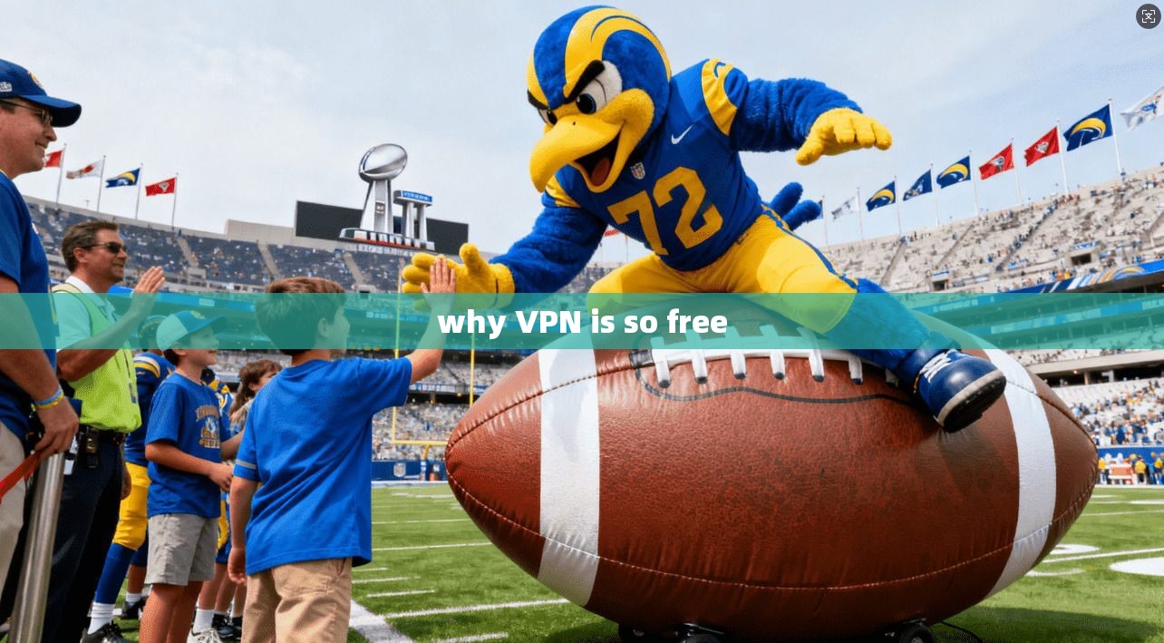 why VPN is so free