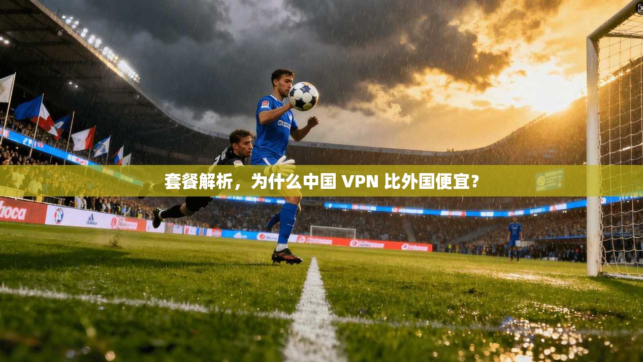 套餐解析，为什么中国 VPN 比外国便宜？  第1张