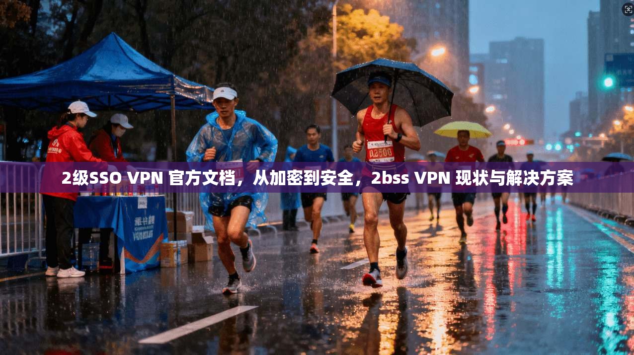 2级SSO VPN 官方文档，从加密到安全，2bss VPN 现状与解决方案