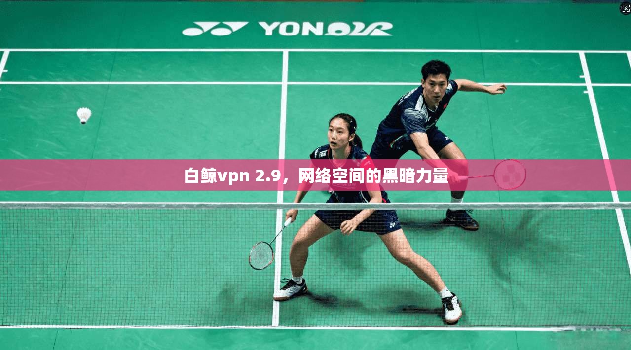 白鲸vpn 2.9，网络空间的黑暗力量