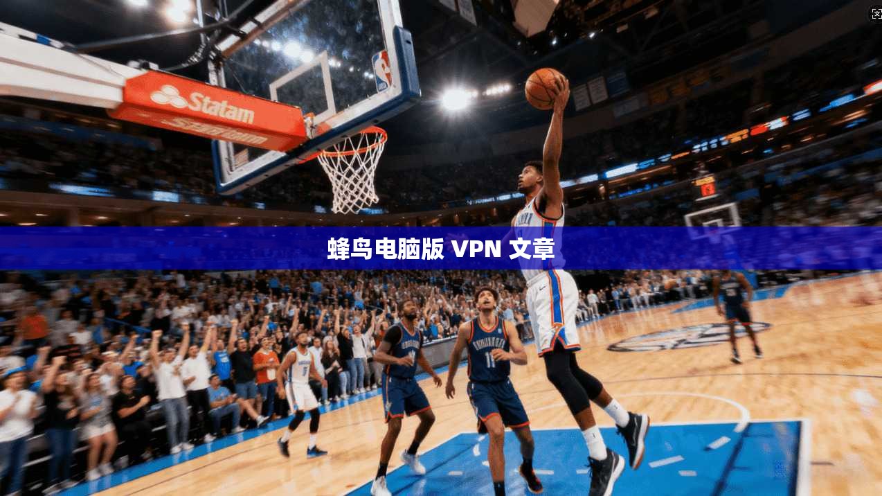 蜂鸟电脑版 VPN 文章