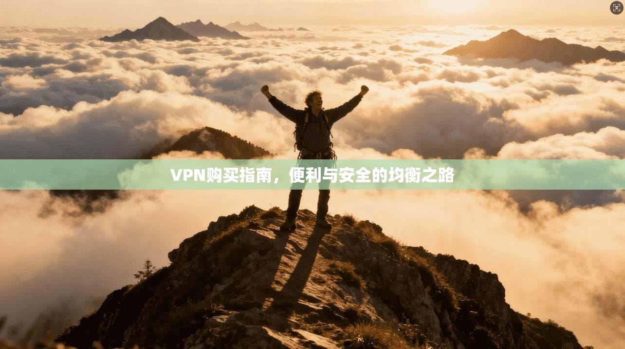 VPN购买指南，便利与安全的均衡之路