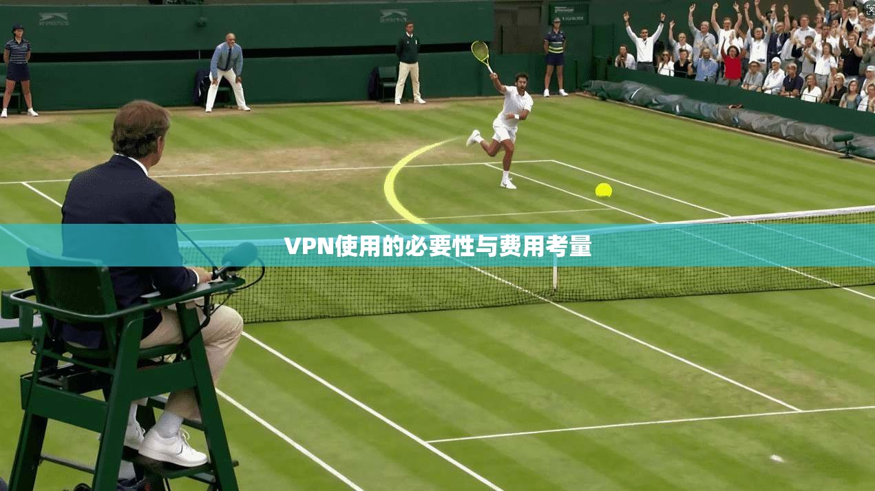 VPN使用的必要性与费用考量