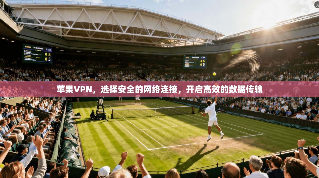 苹果VPN，选择安全的网络连接，开启高效的数据传输