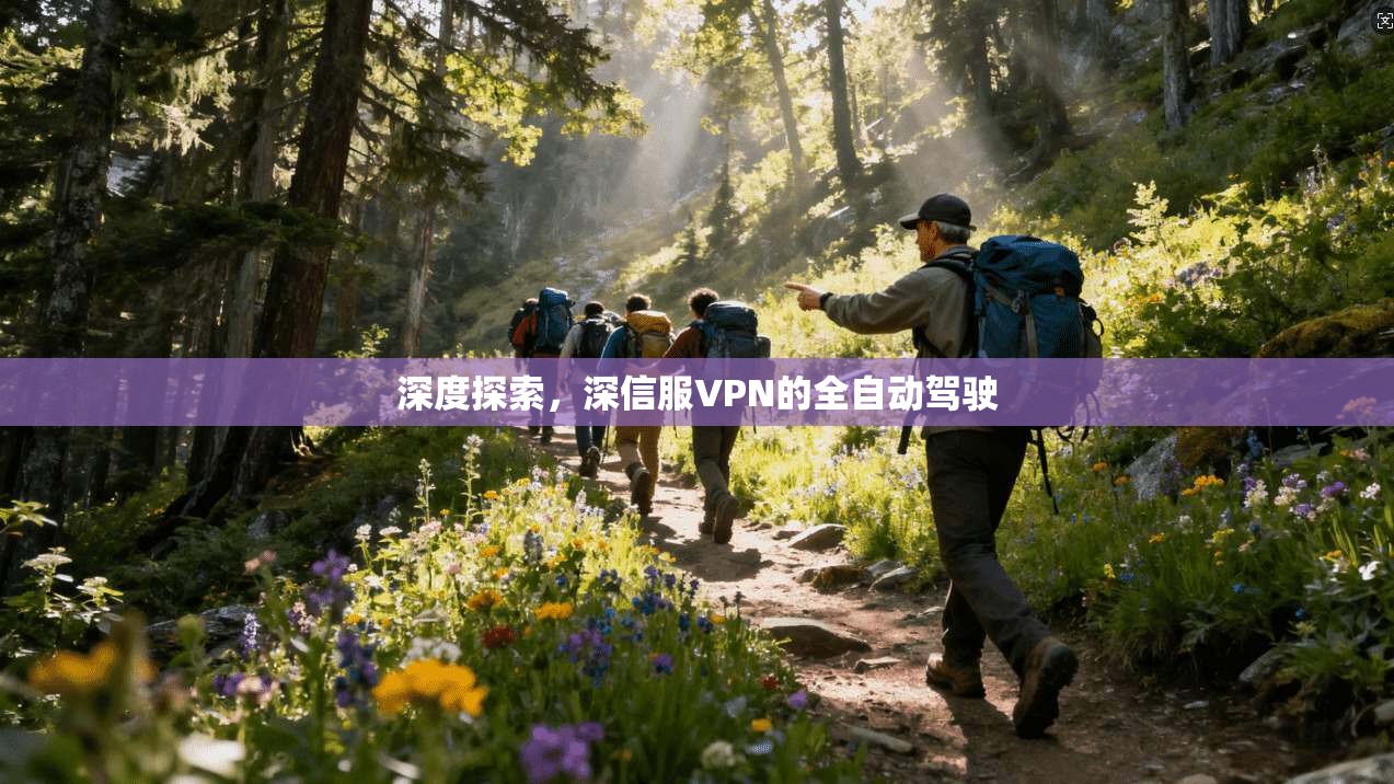 深度探索,深信服VPN的全自动驾驶
