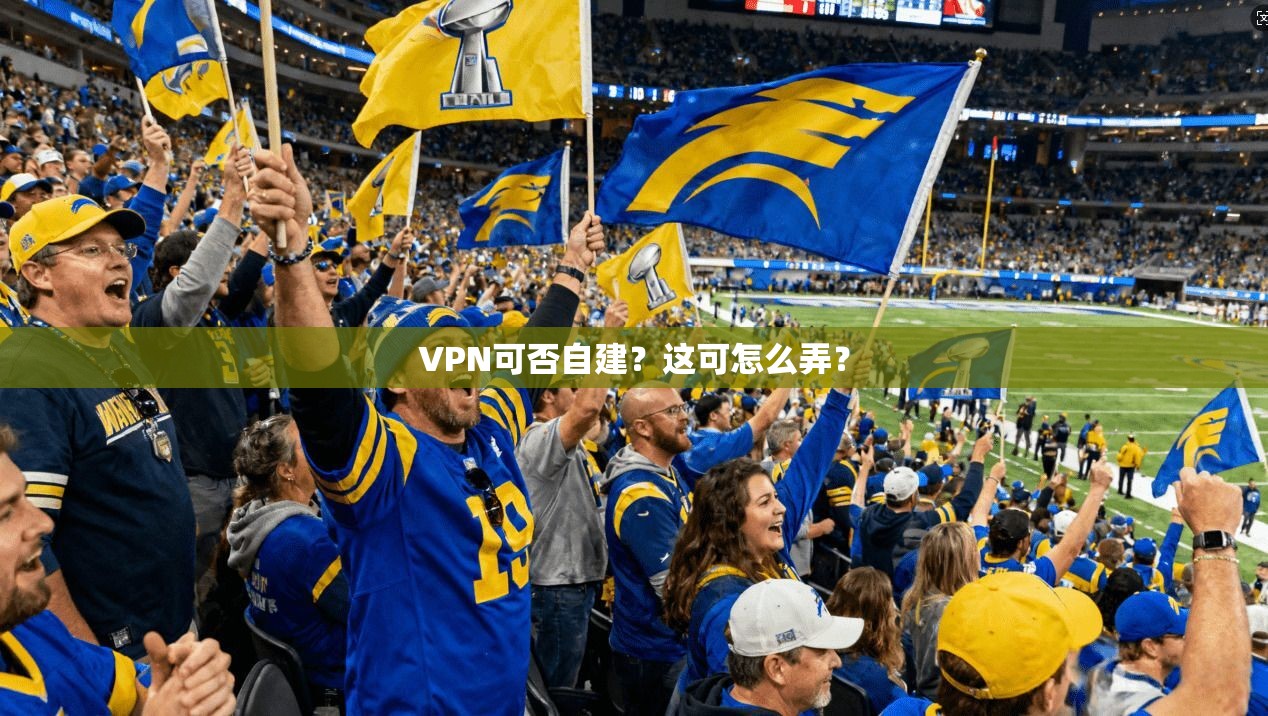 VPN可否自建？这可怎么弄？