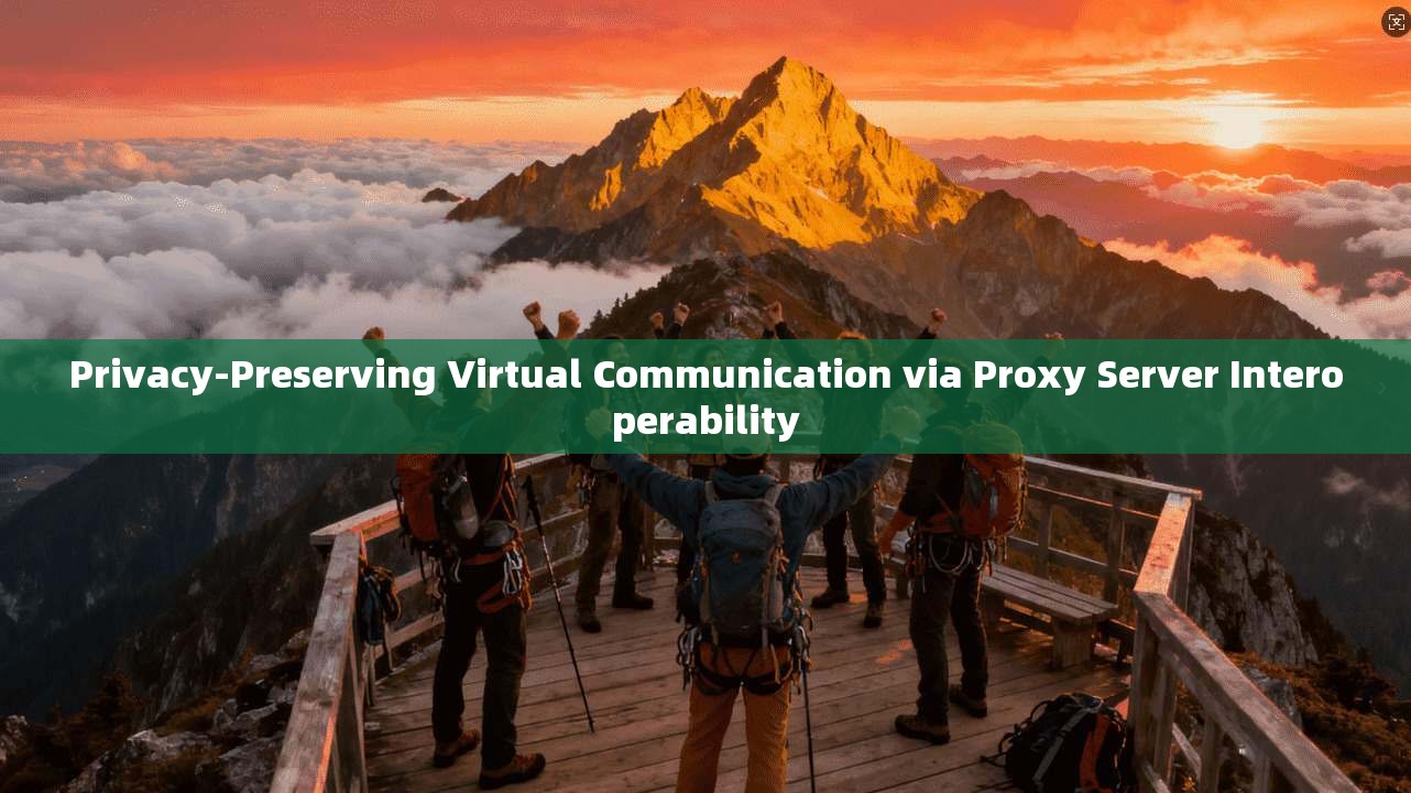 Privacy-Preserving Virtual Communication via Proxy Server Interoperability