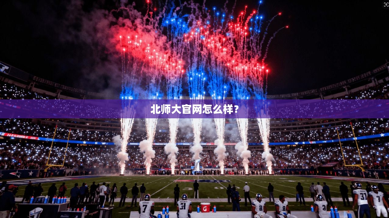 北师大官网怎么样？