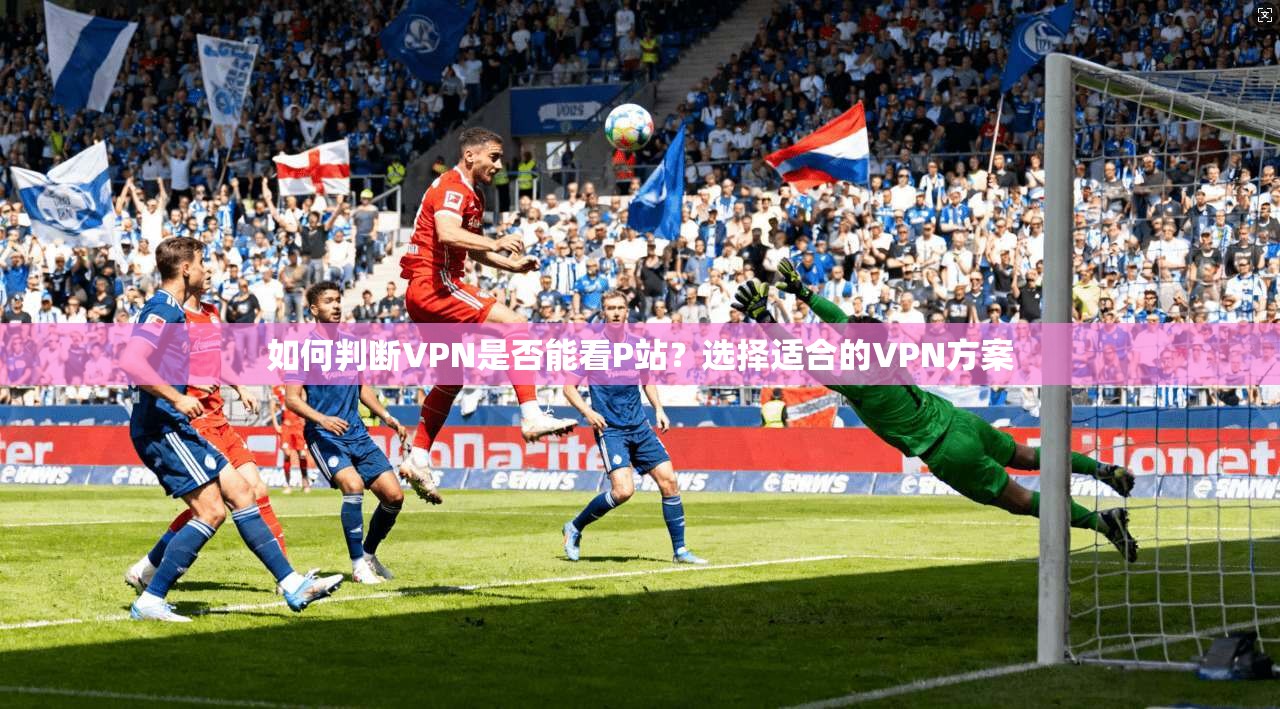 如何判断VPN是否能看P站?选择适合的VPN方案