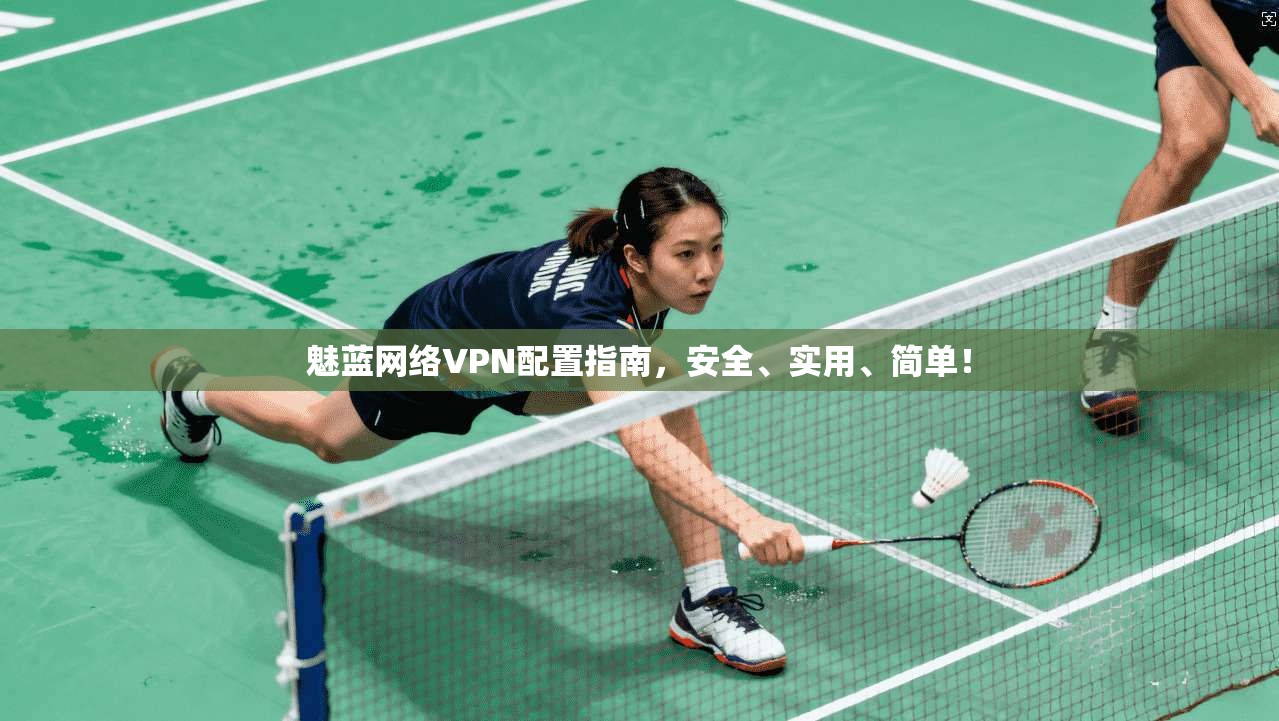 魅蓝网络VPN配置指南，安全、实用、简单！