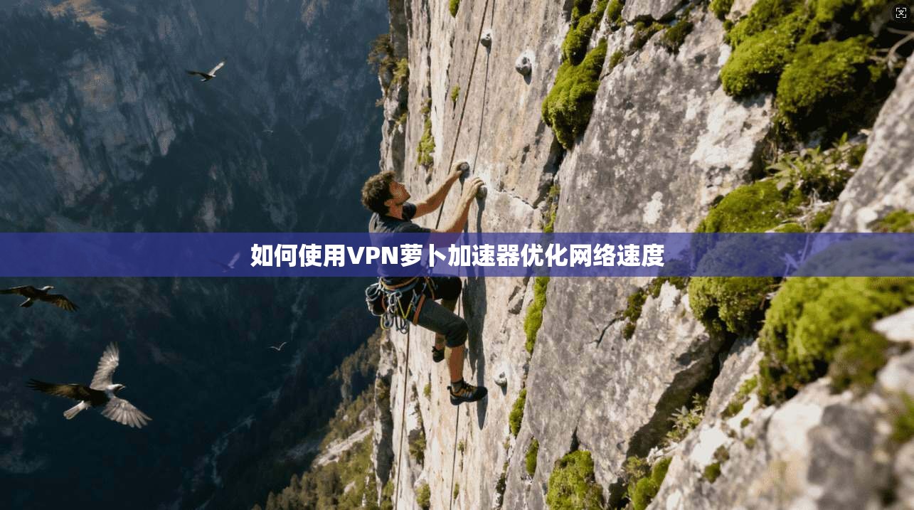 如何使用VPN萝卜加速器优化网络速度