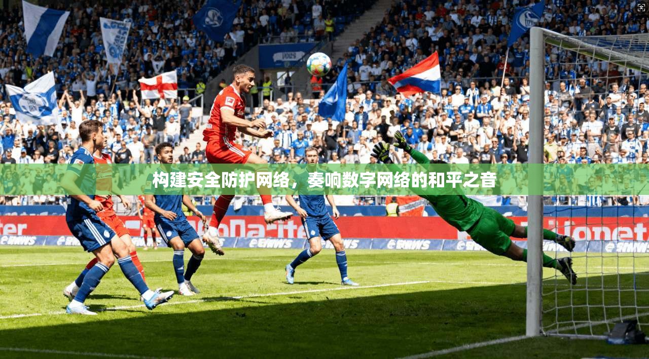 构建安全防护网络,奏响数字网络的和平之音