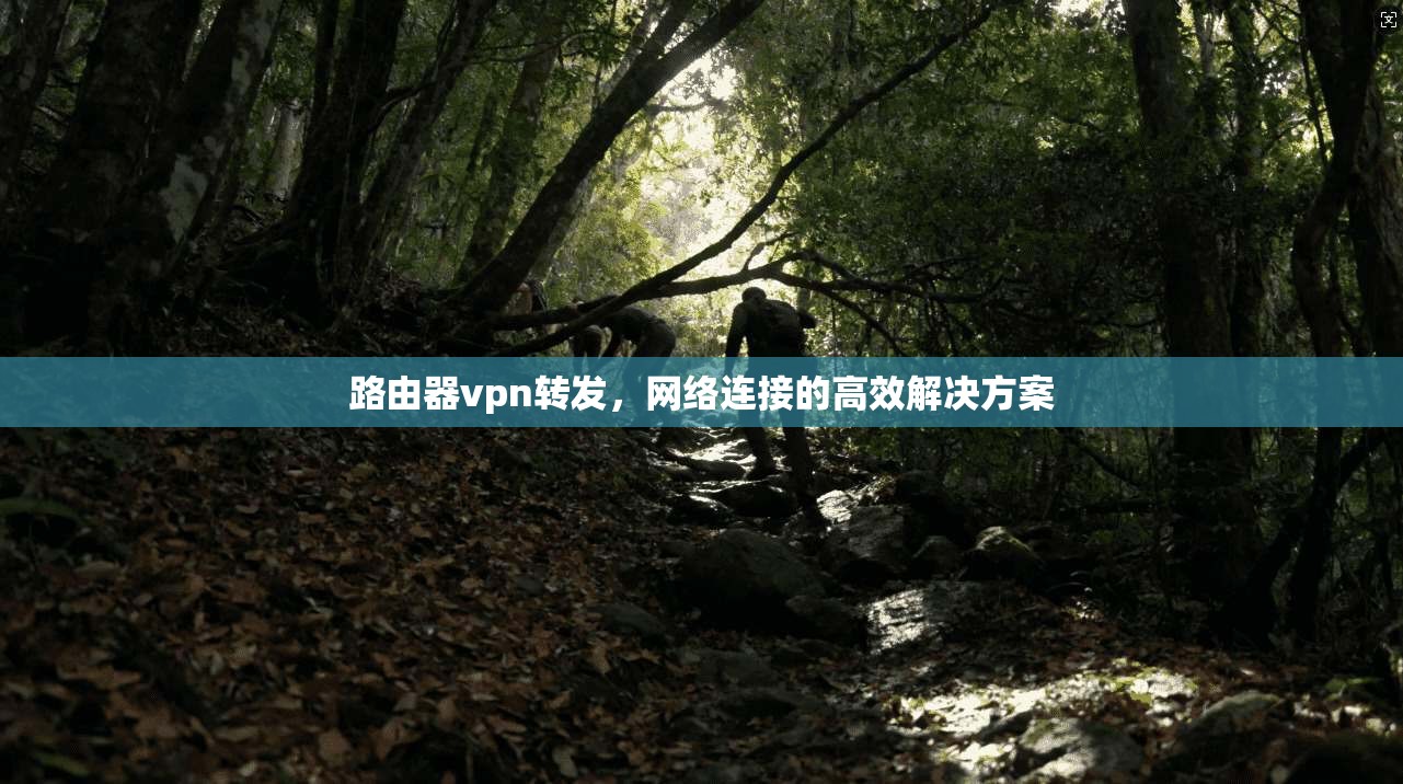 路由器vpn转发，网络连接的高效解决方案