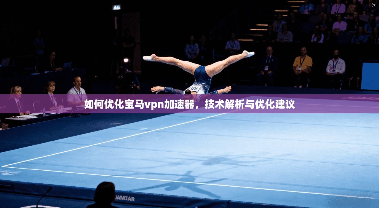 如何优化宝马vpn加速器，技术解析与优化建议