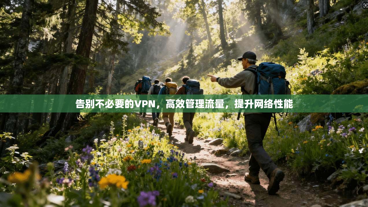 告别不必要的VPN,高效管理流量,提升网络性能