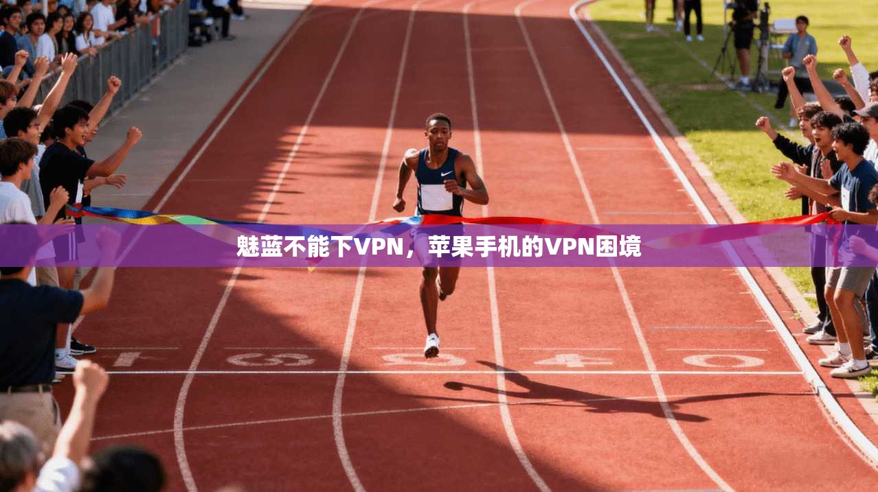 魅蓝不能下VPN，苹果手机的VPN困境  第1张