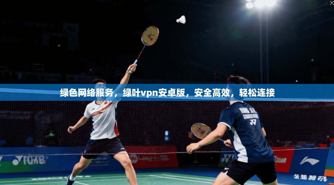 绿色网络服务，绿叶vpn安卓版，安全高效，轻松连接