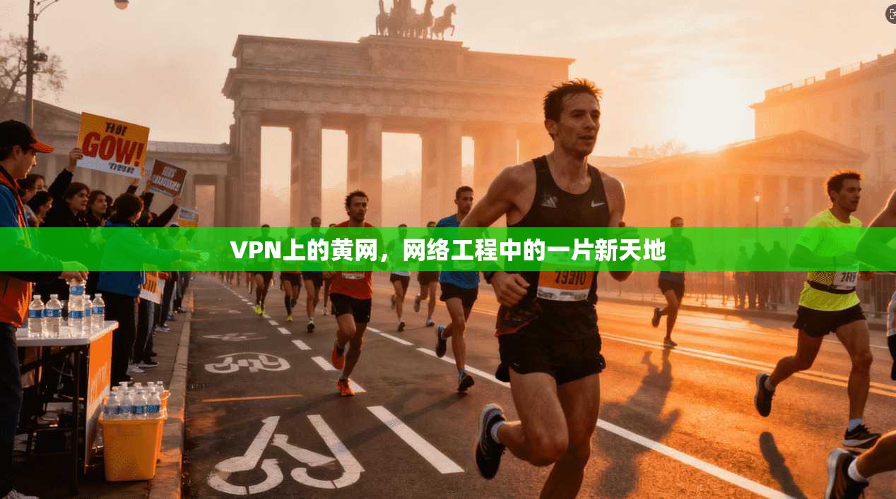 VPN上的黄网,网络工程中的一片新天地